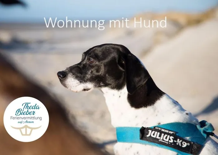 Adas Hues - 6 Appartement